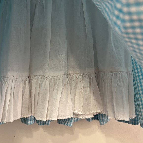 Dorothy from The Wizard of Oz - Full Costume Set - Toto and Ruby Slippers - Picture 13 of 14